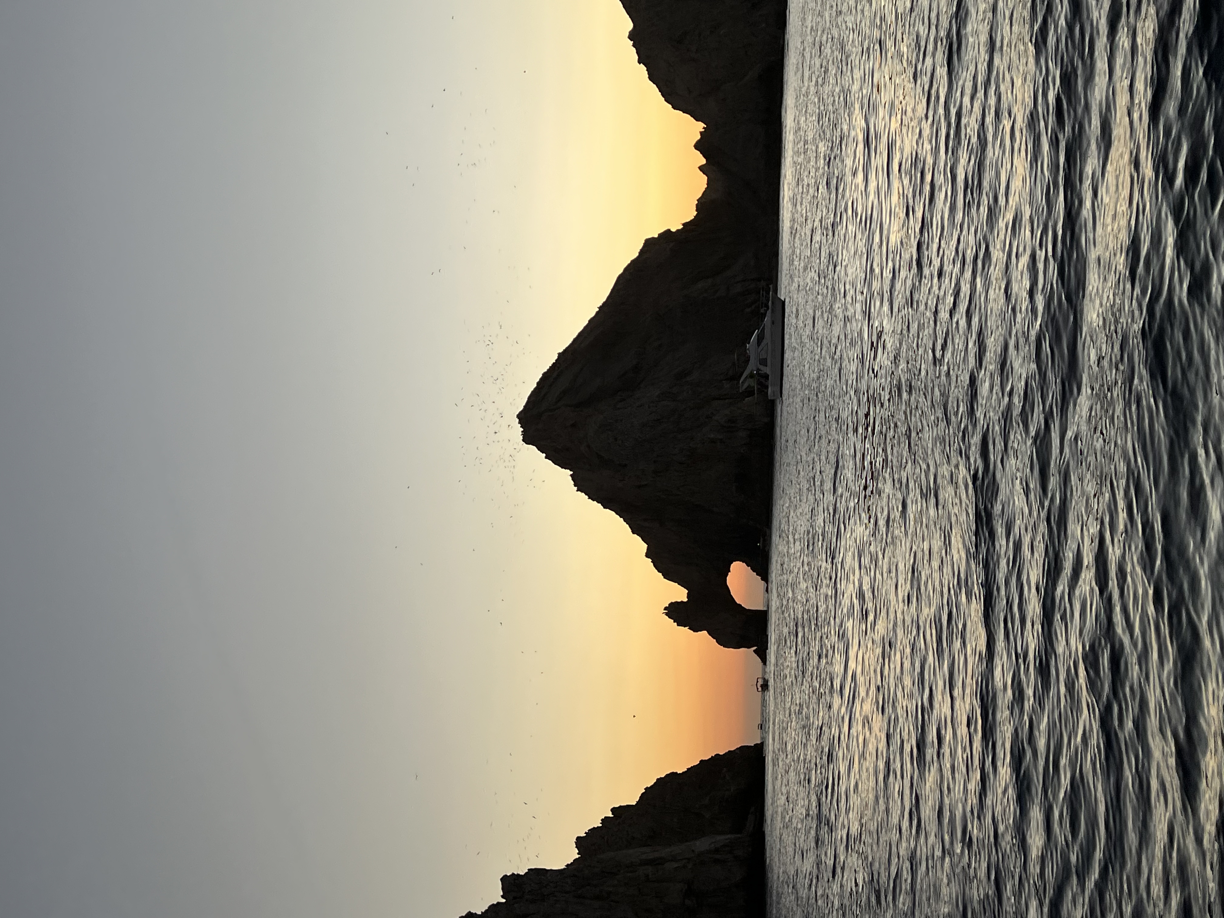 ./2024/13 - Cabo/IMG_4794.jpg